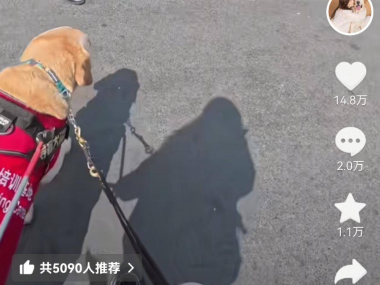 
                        4:3图片
