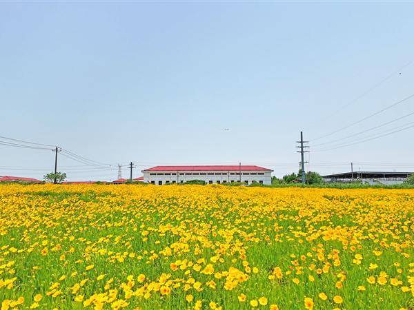 
                        4:3图片