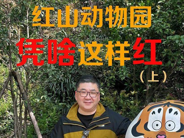 
                        4:3图片