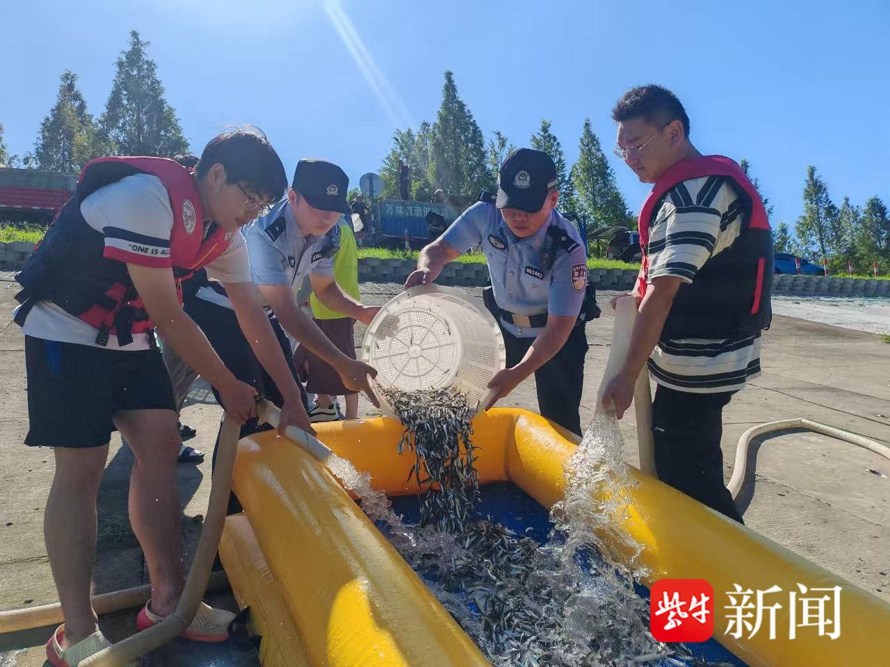 
                        4:3图片