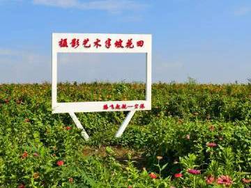 
                        4:3图片