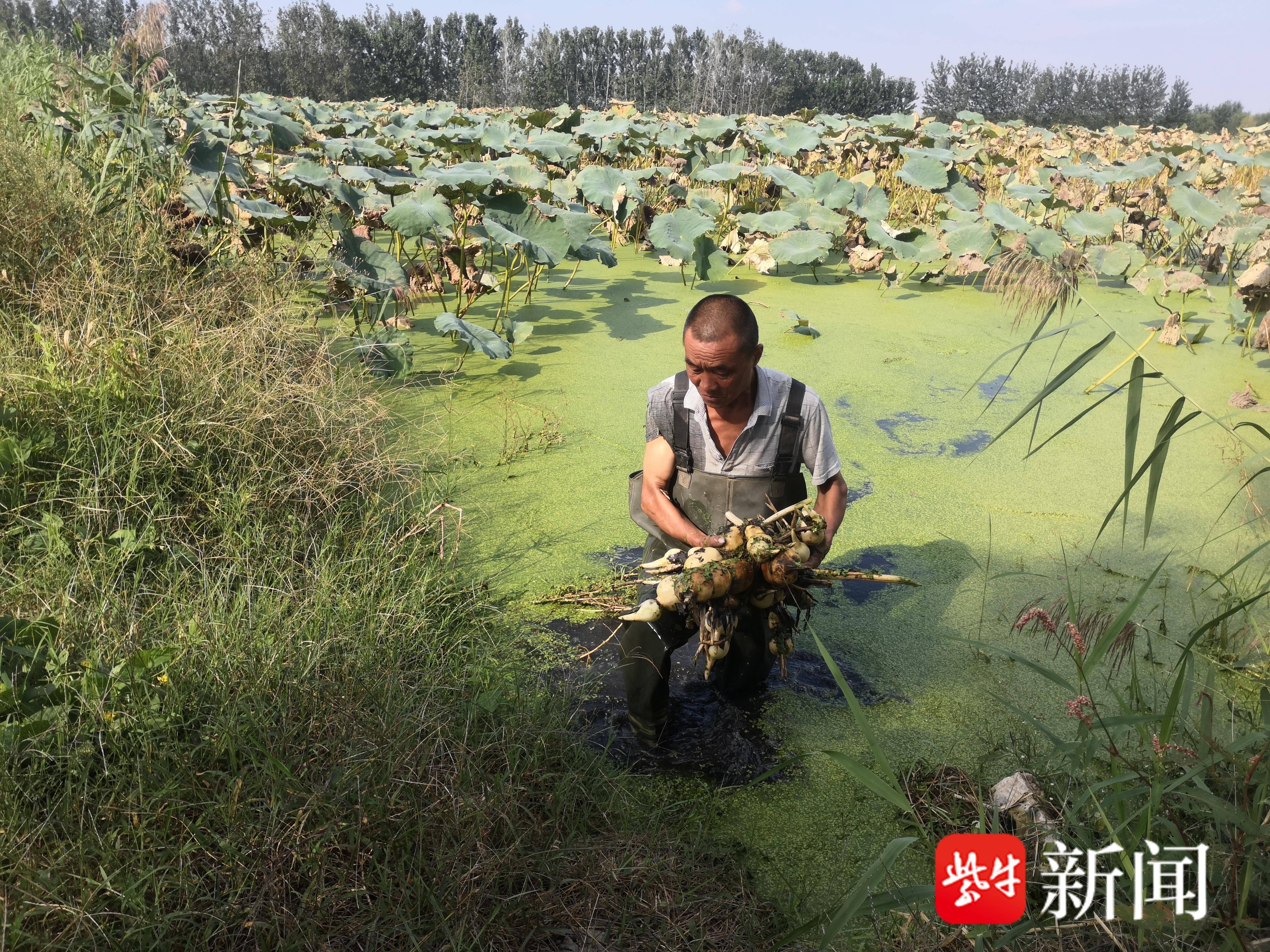 
                        4:3图片