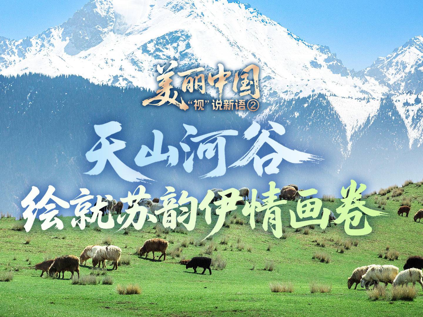 
                        4:3图片