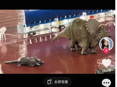 
                        4:3图片
