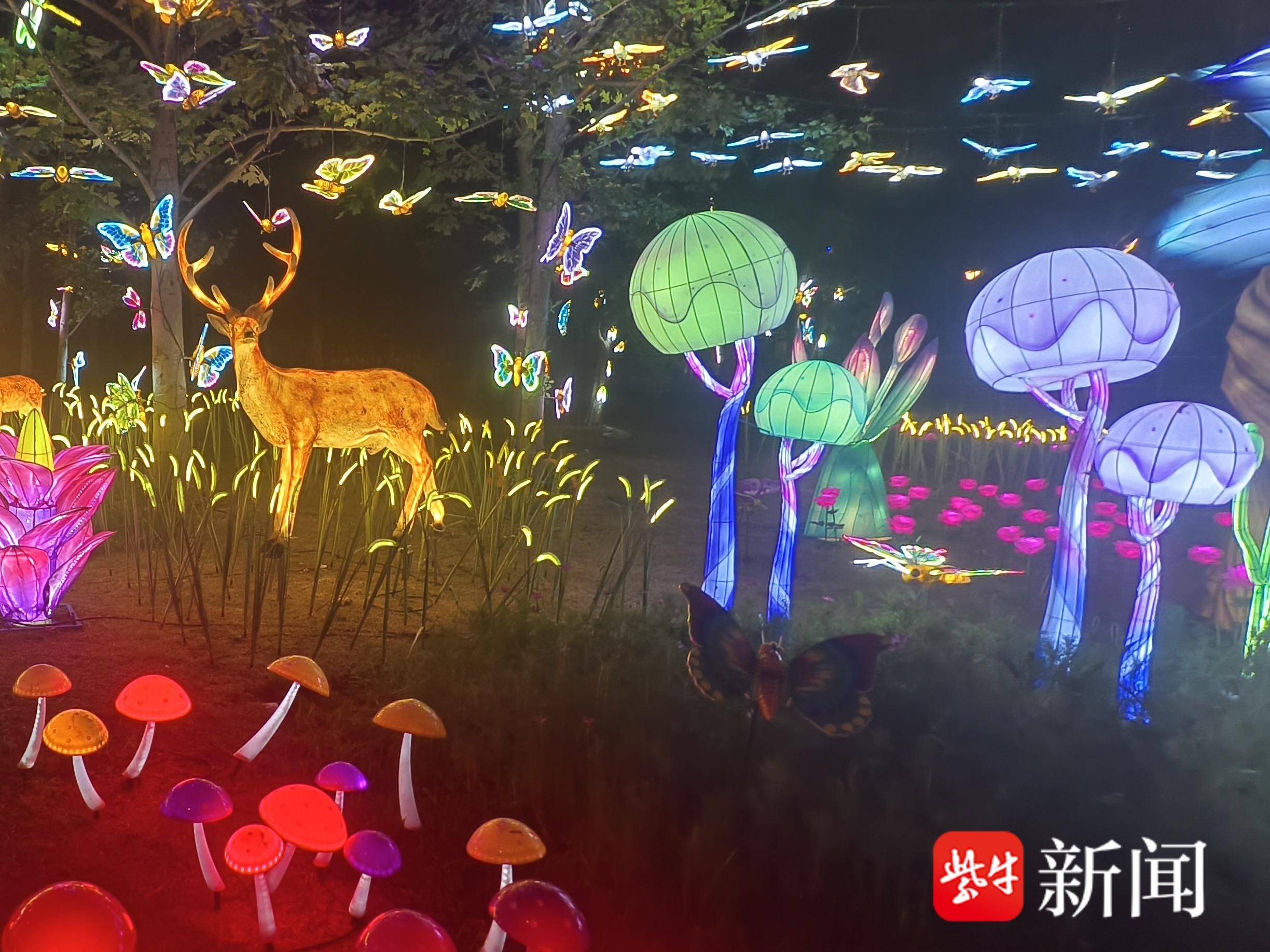
                        4:3图片