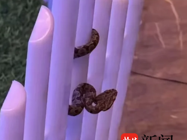 
                        4:3图片