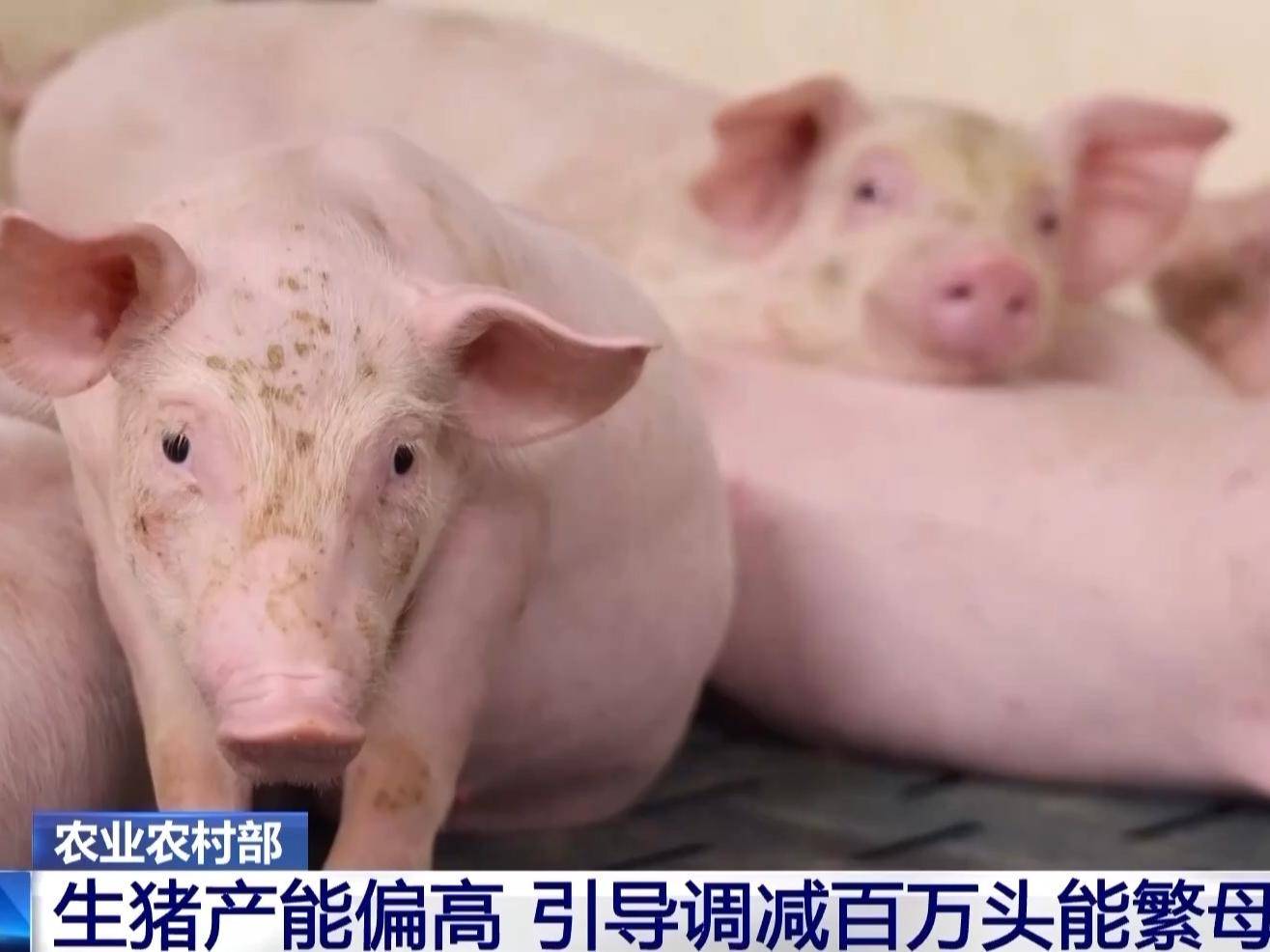 
                        4:3图片