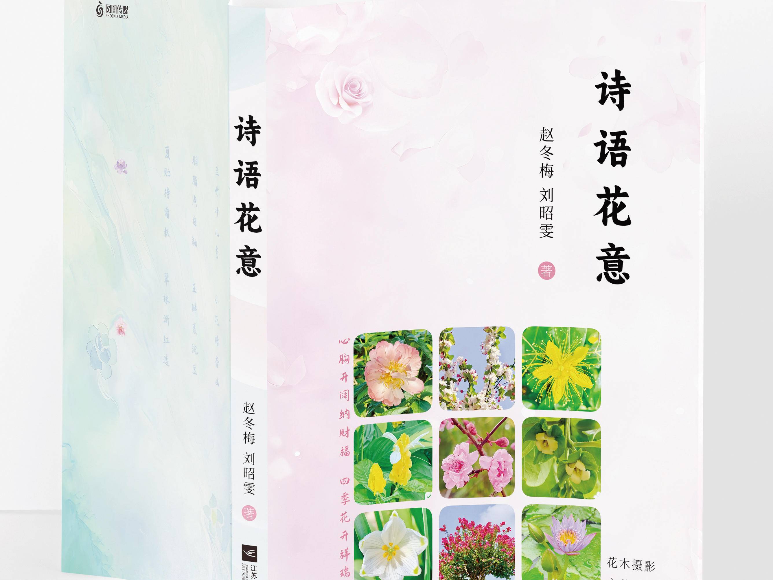 
                        4:3图片