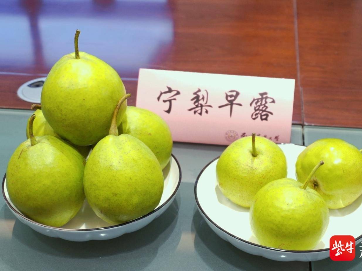 
                        4:3图片