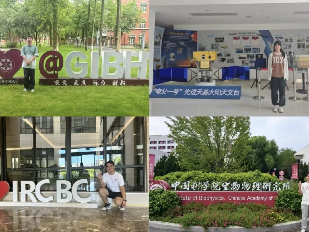 
                        4:3图片