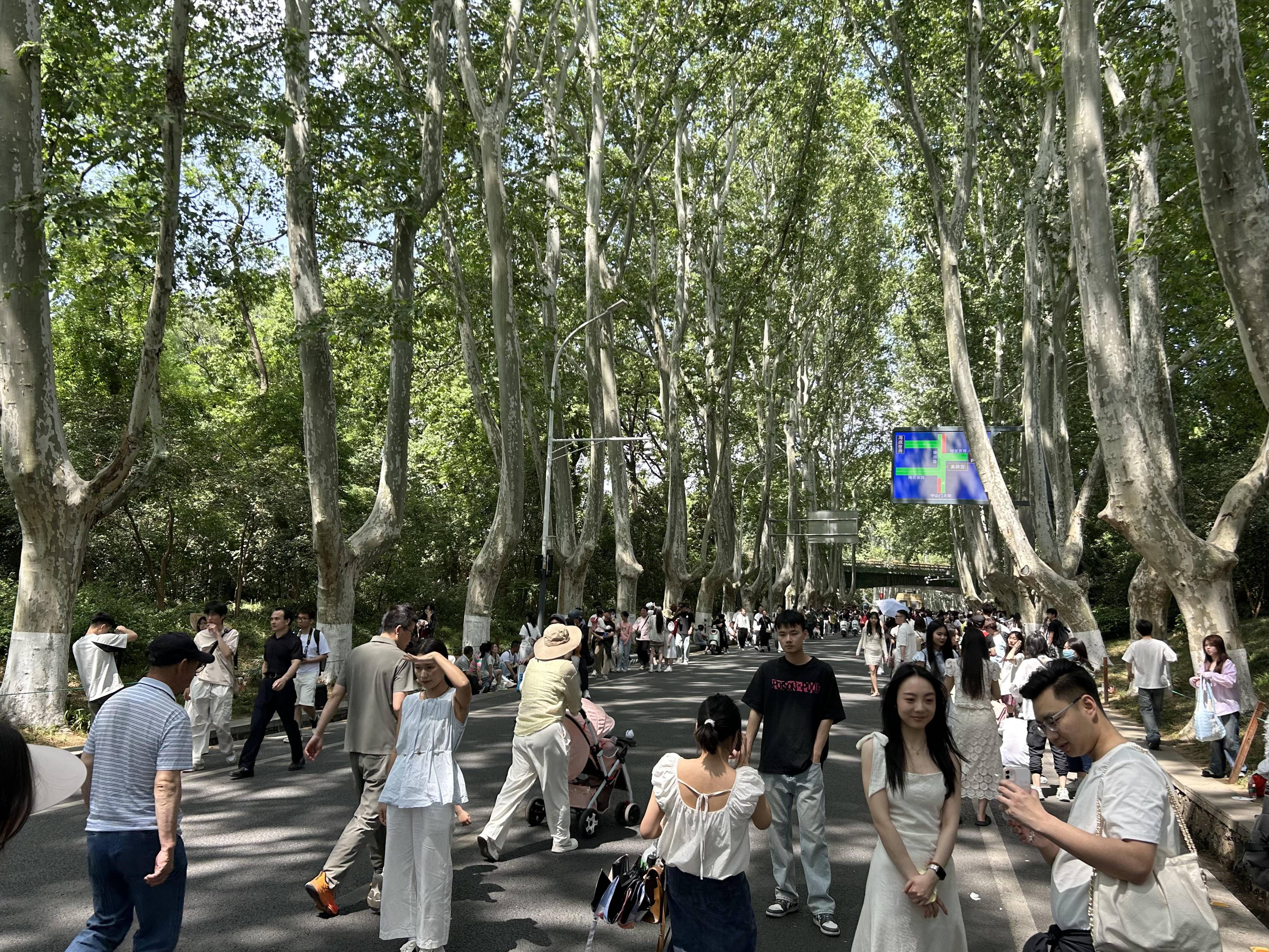
                        4:3图片