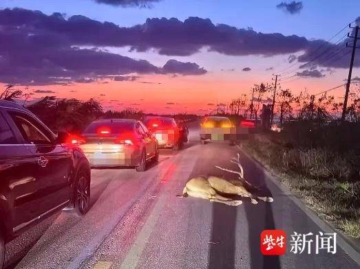 
                        4:3图片