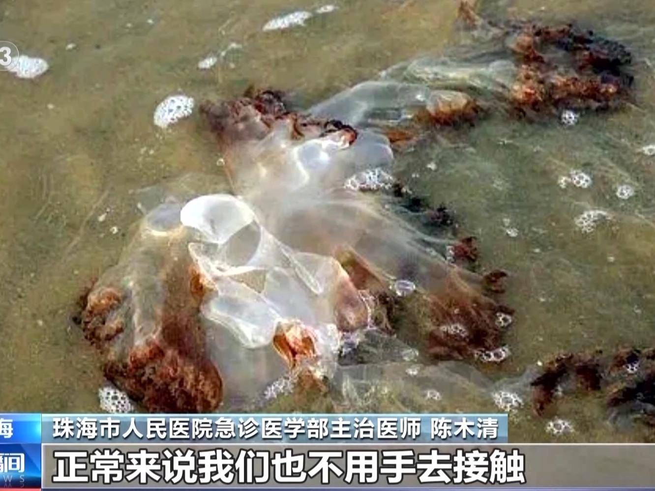 
                        4:3图片
