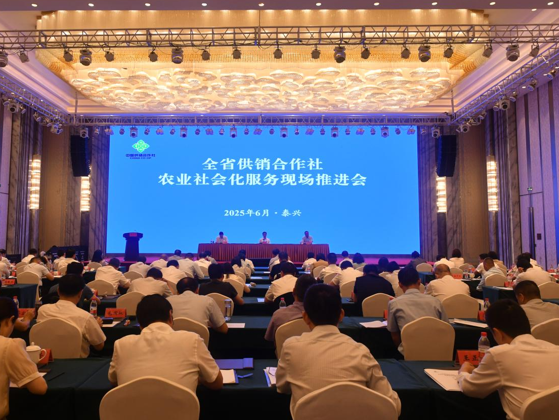 
                        4:3图片