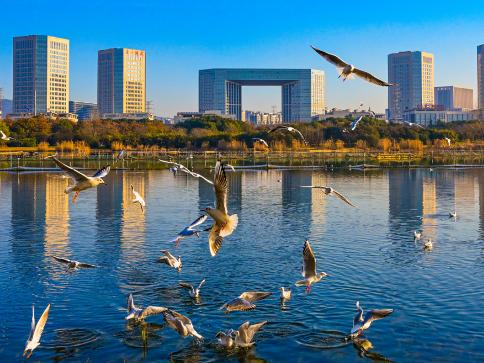 
                        4:3图片