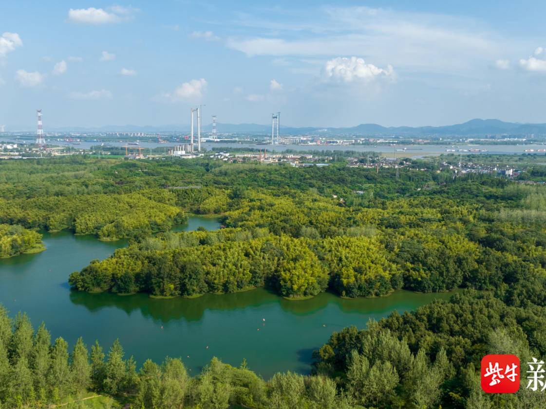 
                        4:3图片