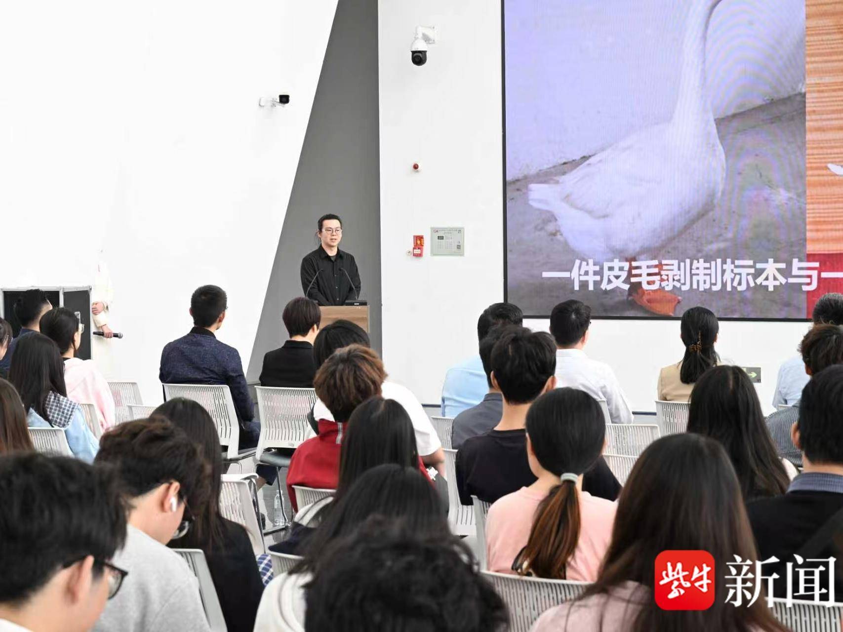 
                        4:3图片