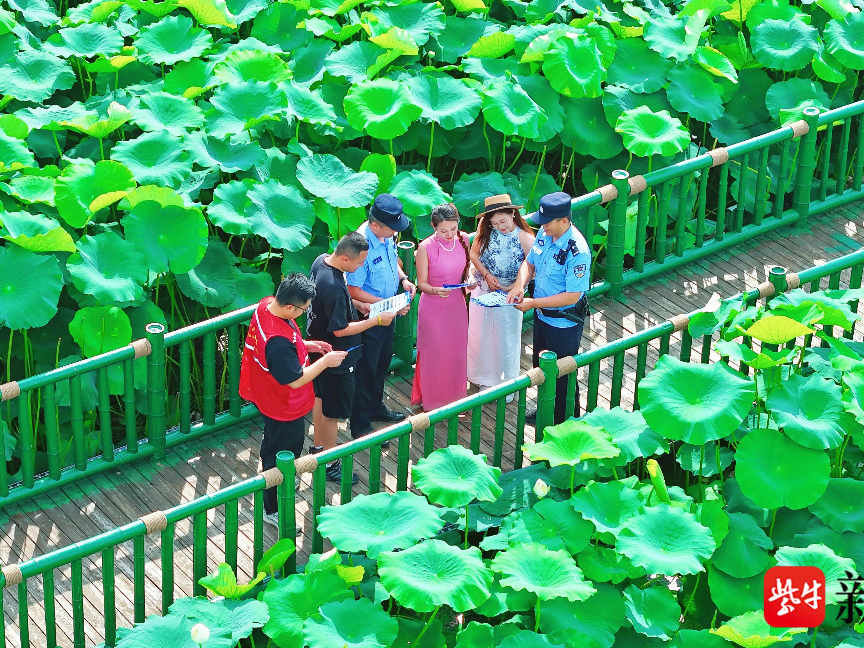 
                        4:3图片