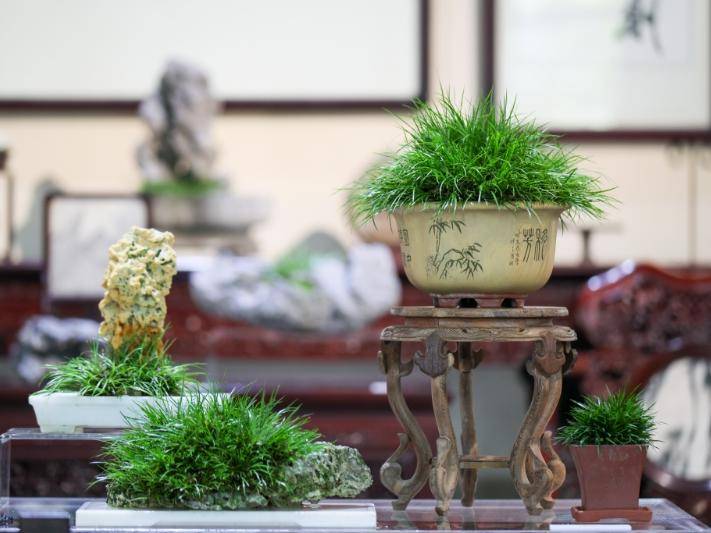 
                        4:3图片