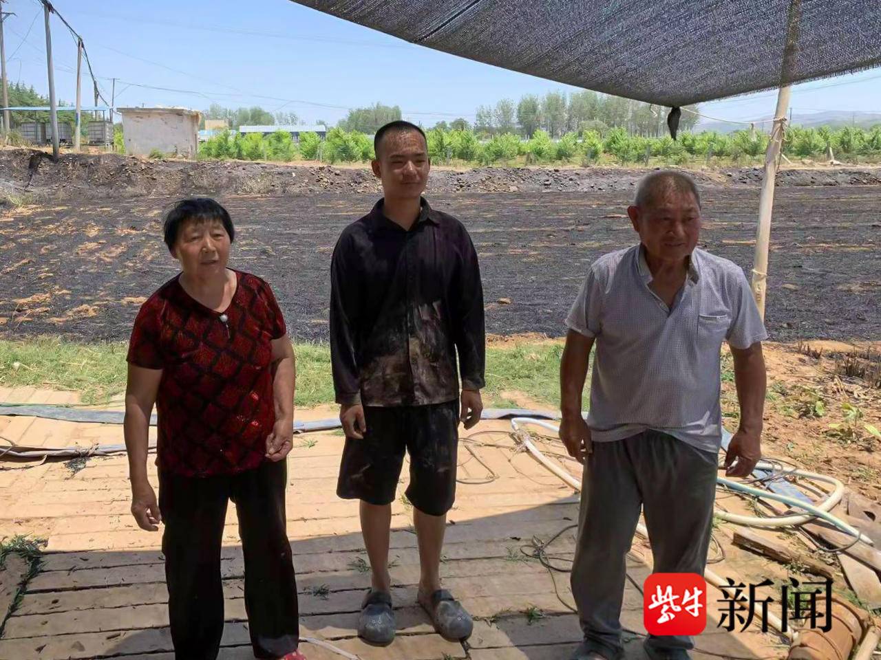 
                        4:3图片