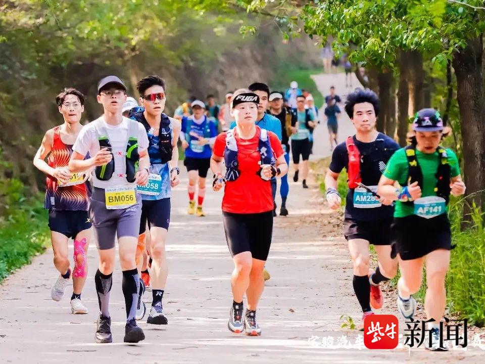 
                        4:3图片
