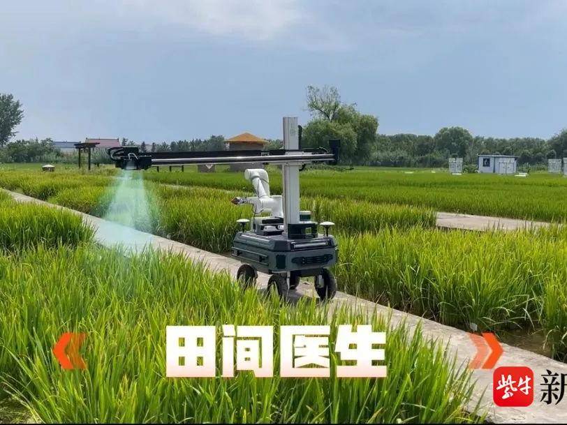 
                        4:3图片