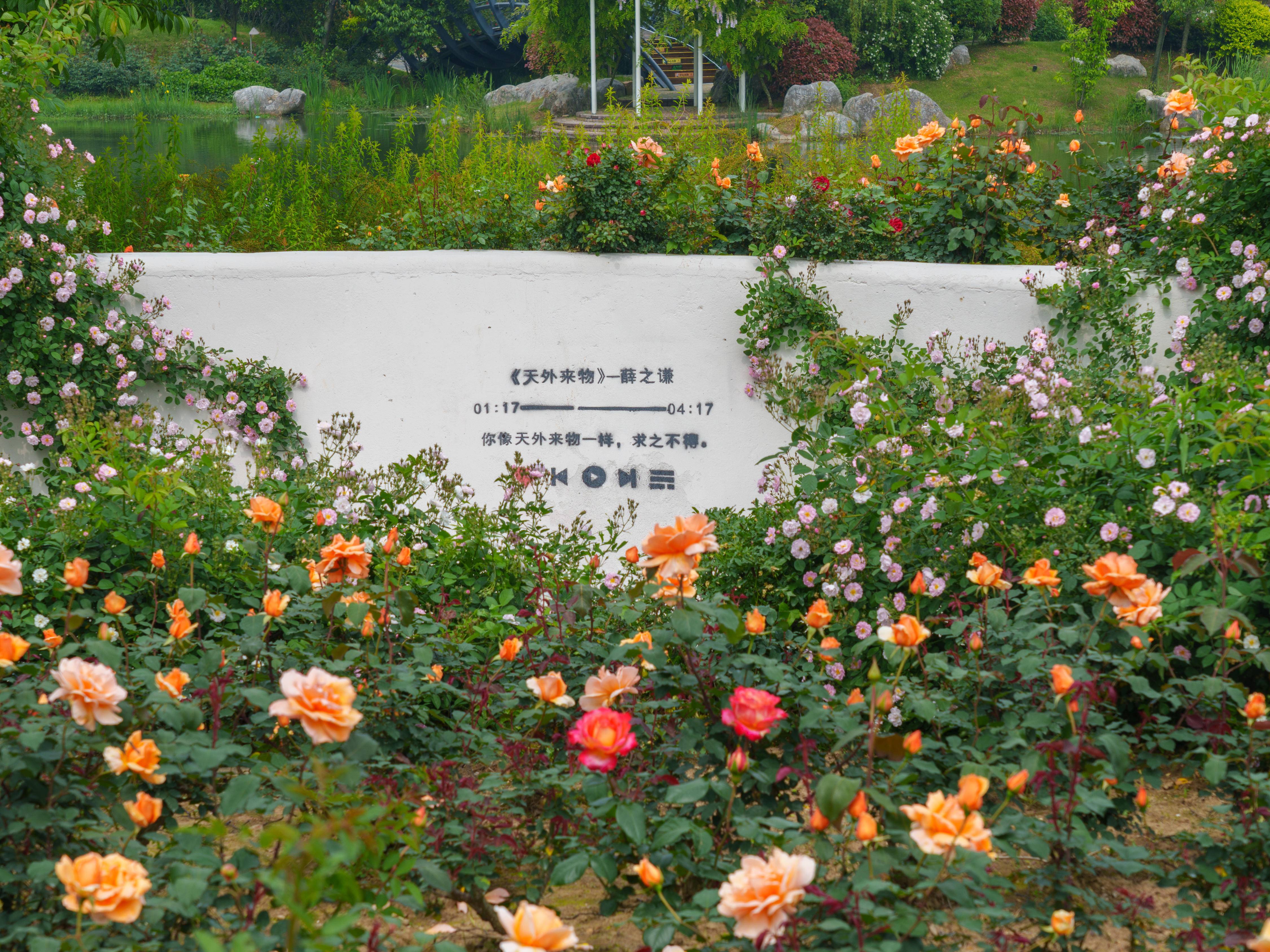 
                        4:3图片