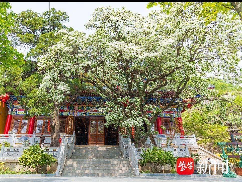 
                        4:3图片