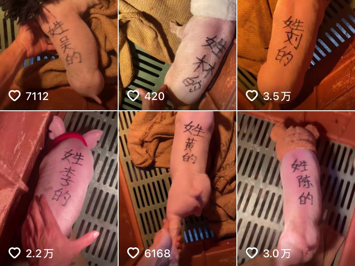 
                        4:3图片