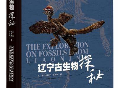 
                        4:3图片