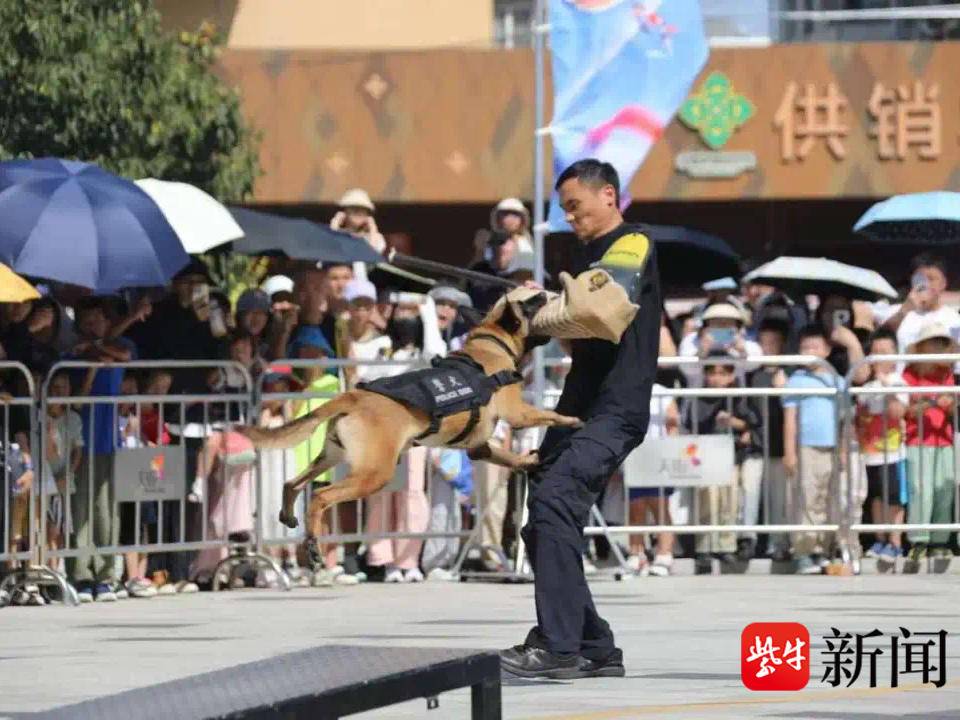 
                        4:3图片