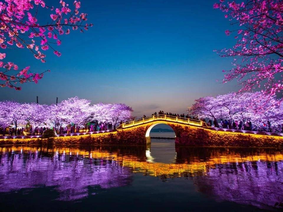 
                        4:3图片