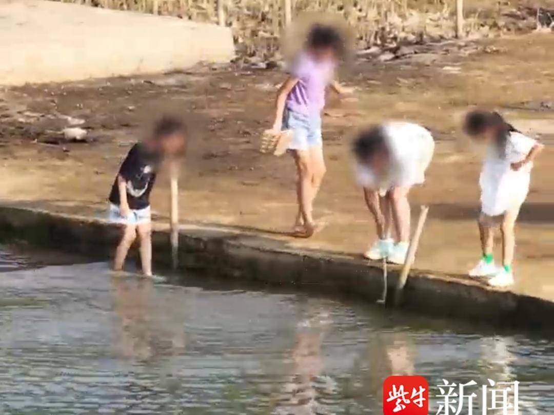 
                        4:3图片