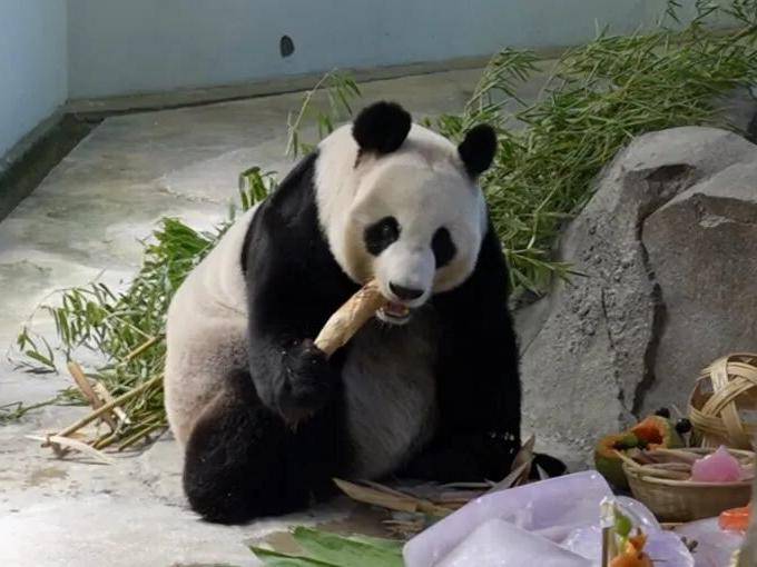 
                        4:3图片