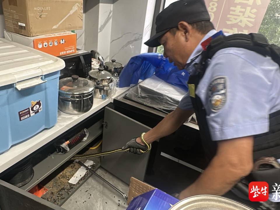 
                        4:3图片