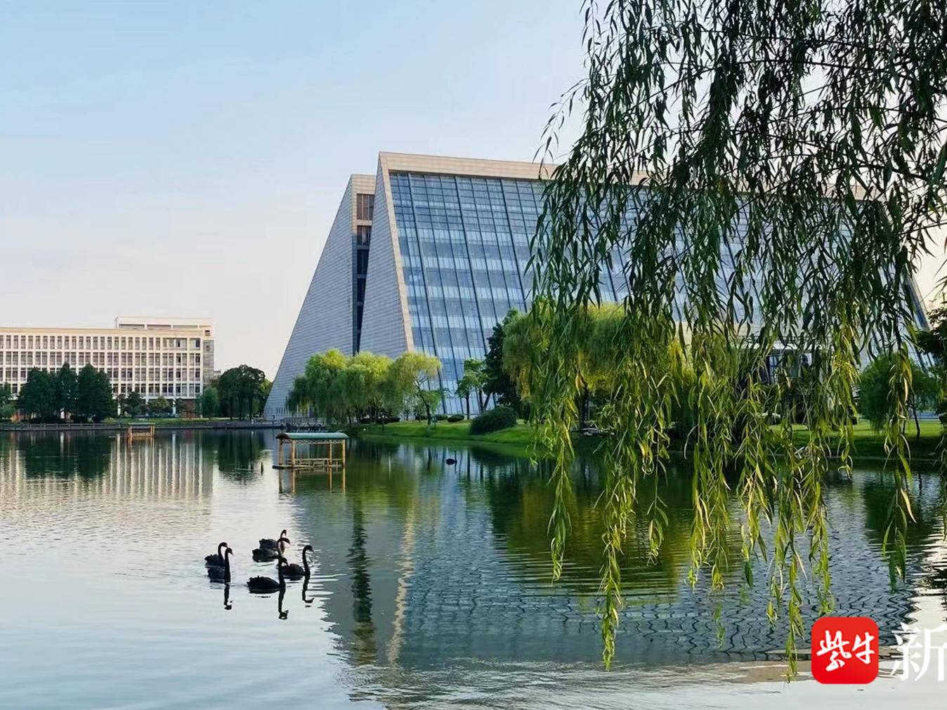 
                        4:3图片