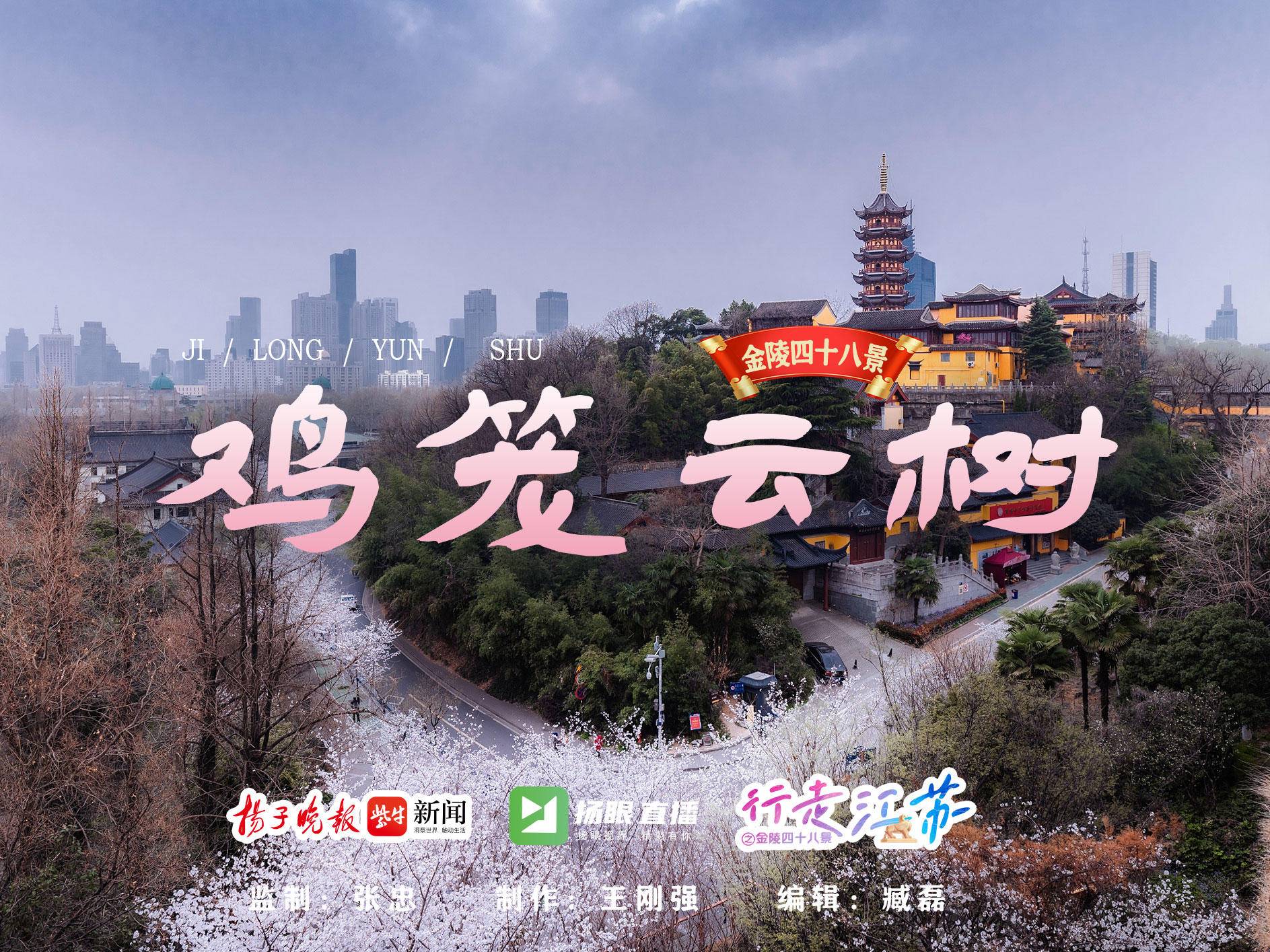 
                        4:3图片