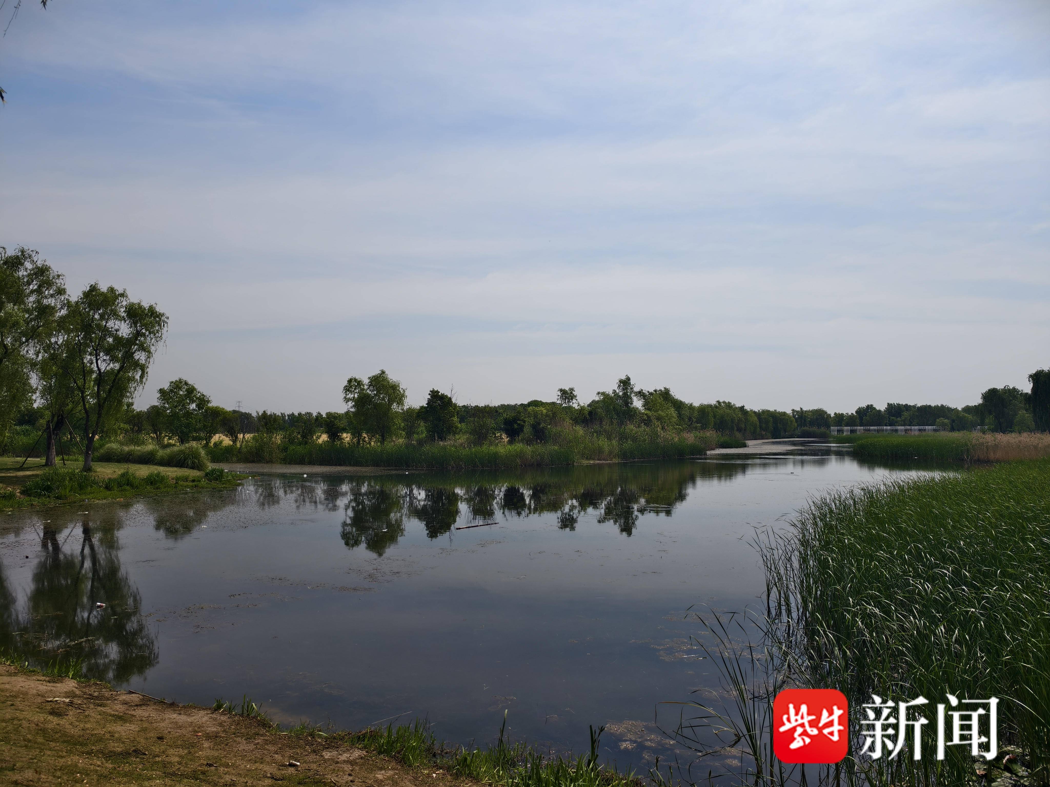 
                        4:3图片