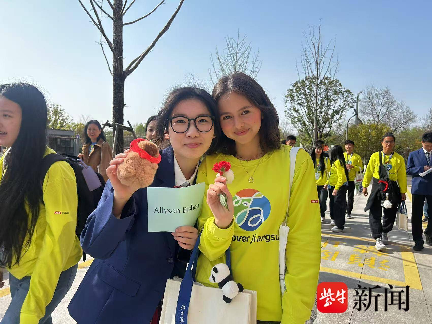 
                        4:3图片