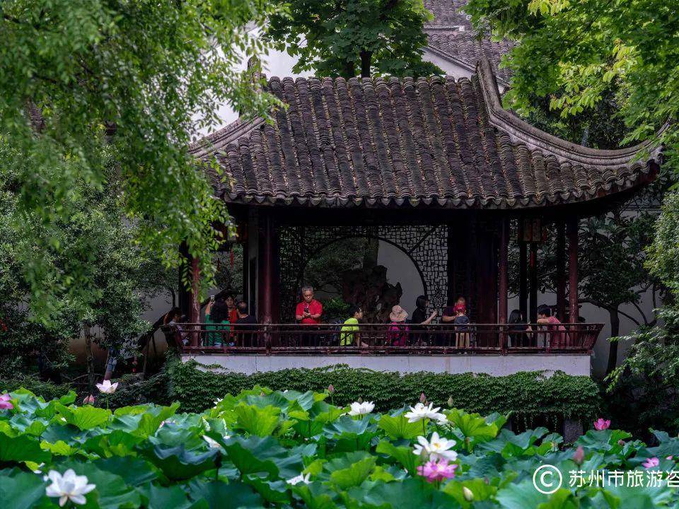 
                        4:3图片