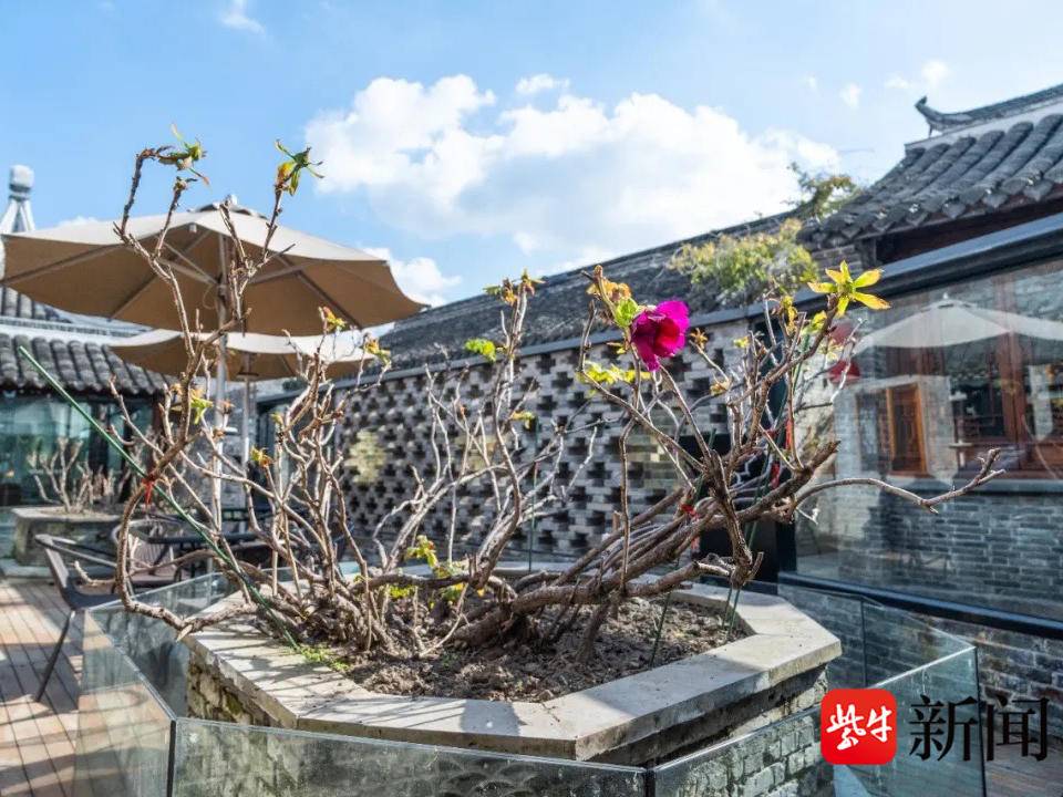 
                        4:3图片
