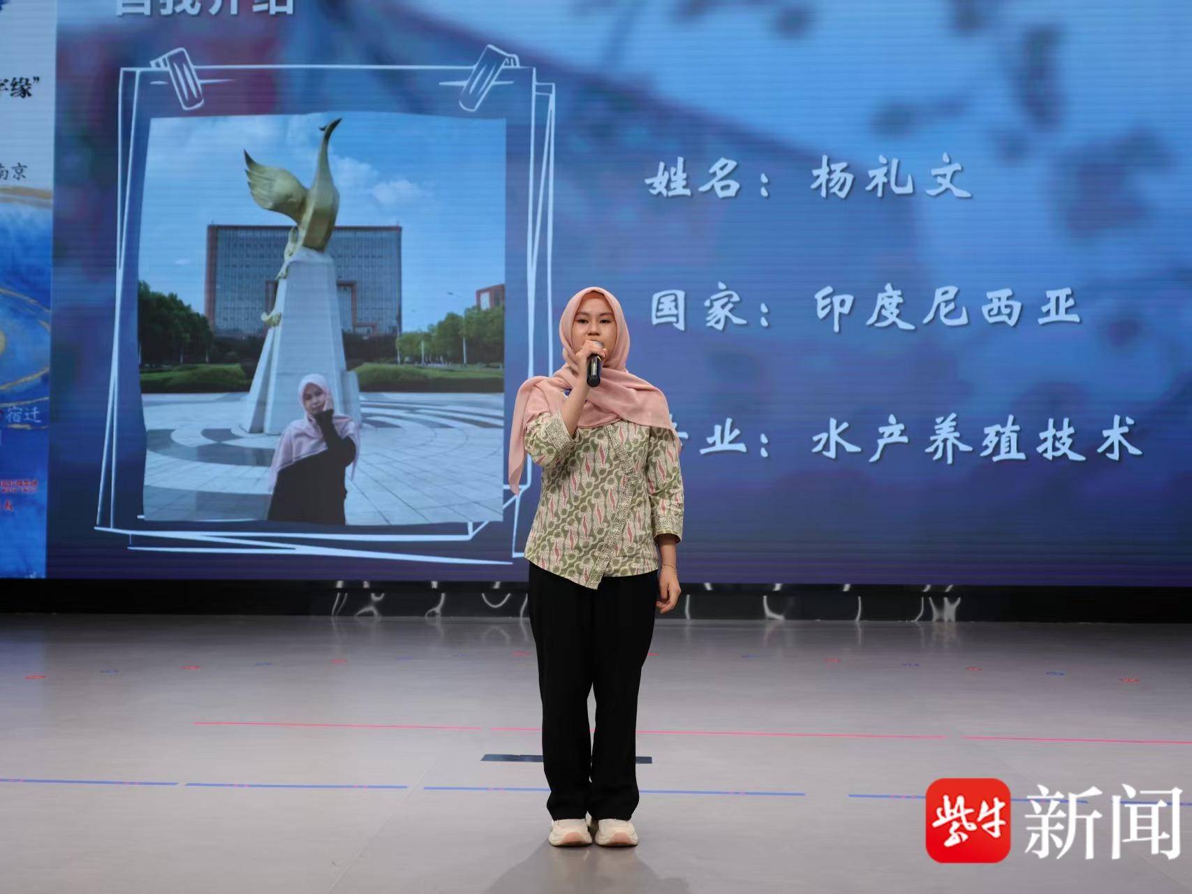 
                        4:3图片