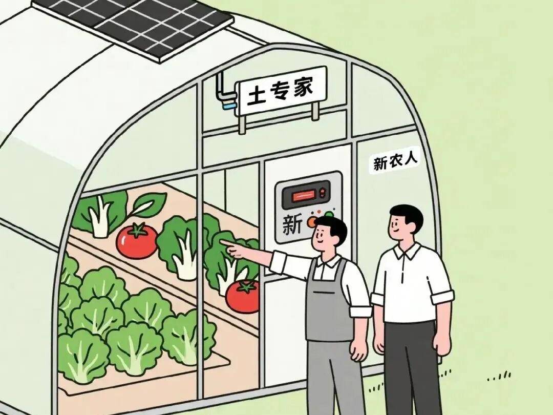 
                        4:3图片