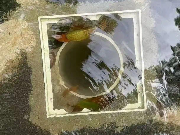 
                        4:3图片