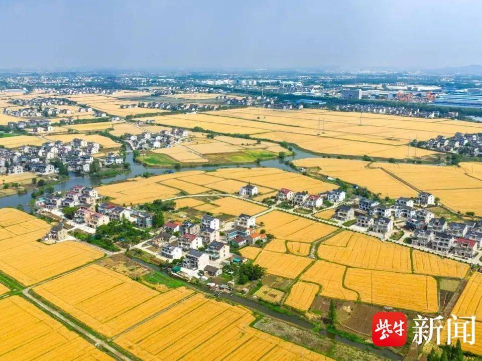 
                        4:3图片