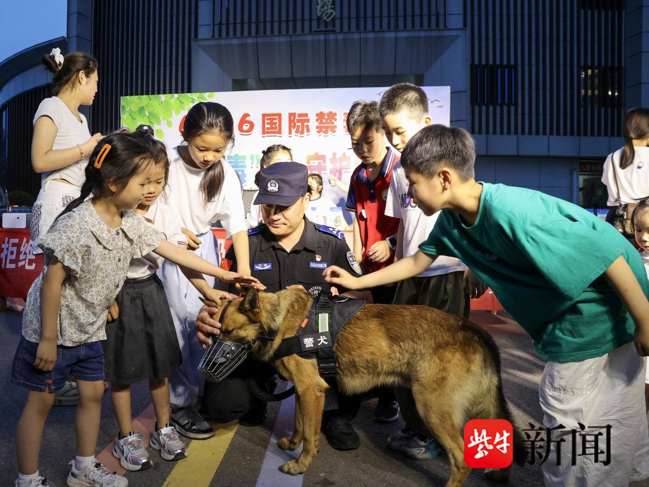 
                        4:3图片