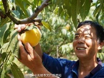 
                        4:3图片