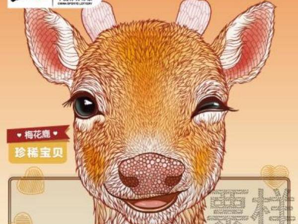 
                        4:3图片