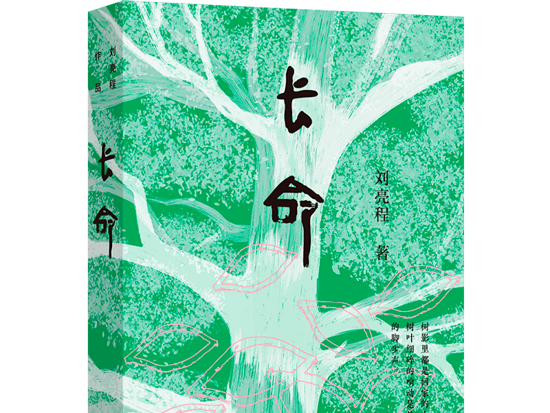 
                        4:3图片