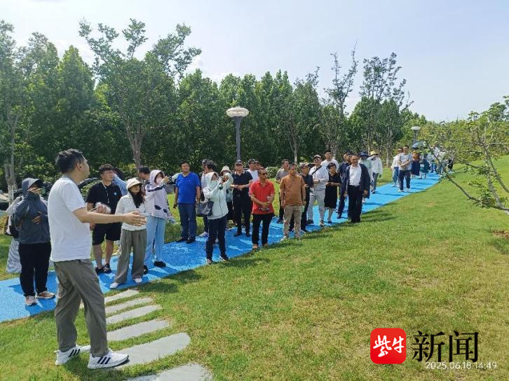 
                        4:3图片